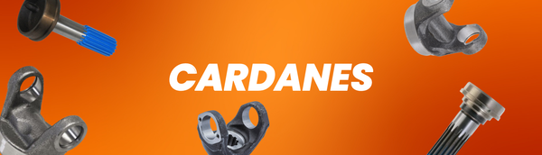 Cardanes